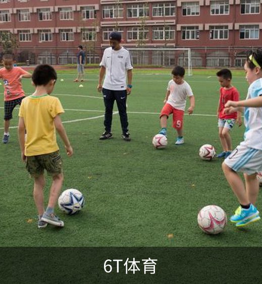 关于6T体育